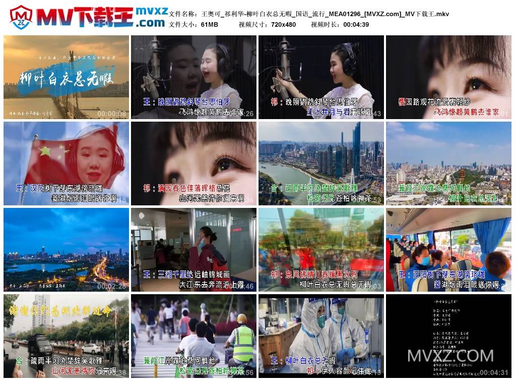 王奥可_祁利华-柳叶白衣总无暇_国语_流行_MEA01296